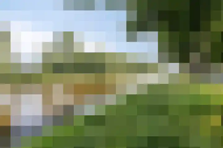 Sigmaplantsoen 64 Leiden thumbnail 23