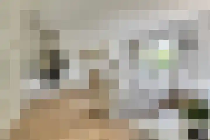 Sigmaplantsoen 64 Leiden thumbnail 6