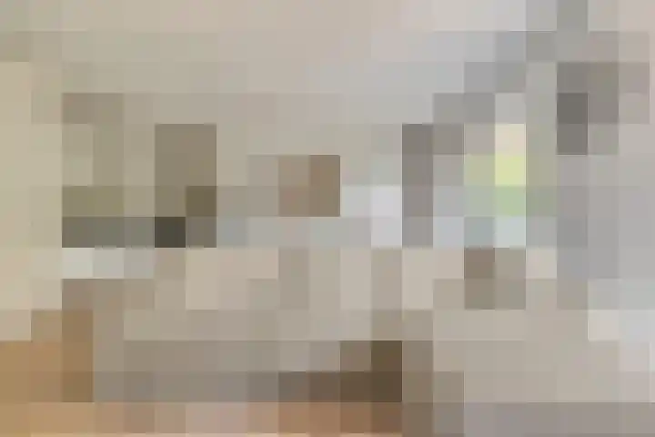 Sigmaplantsoen 64 Leiden thumbnail 7