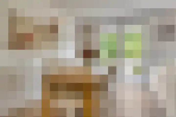 Sigmaplantsoen 64 Leiden thumbnail 9