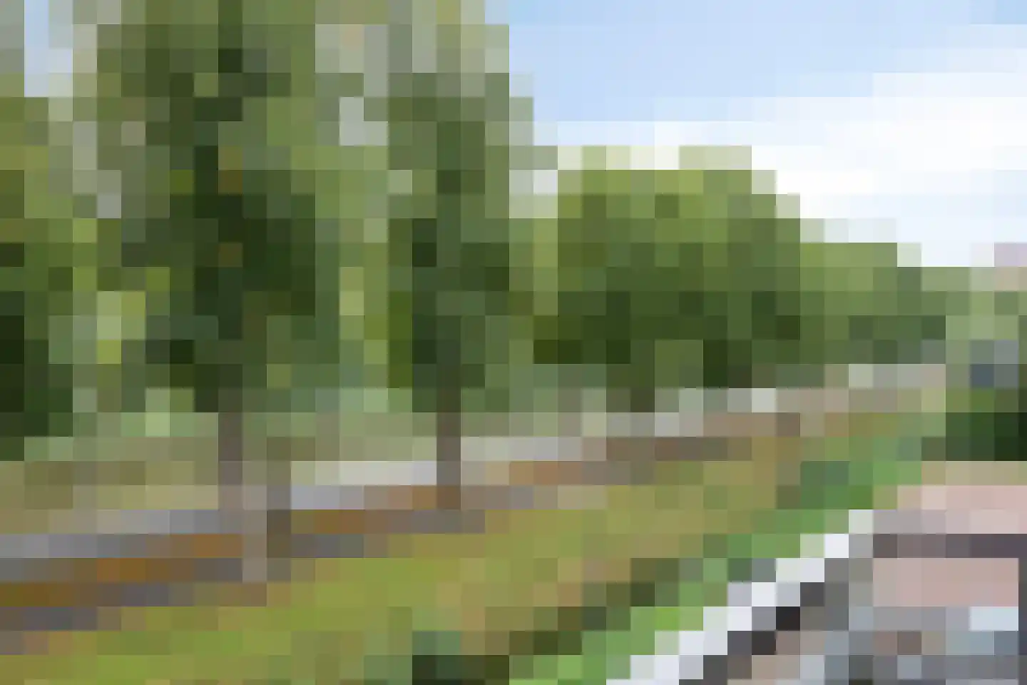 Sigmaplantsoen 643 Leiden thumbnail 15