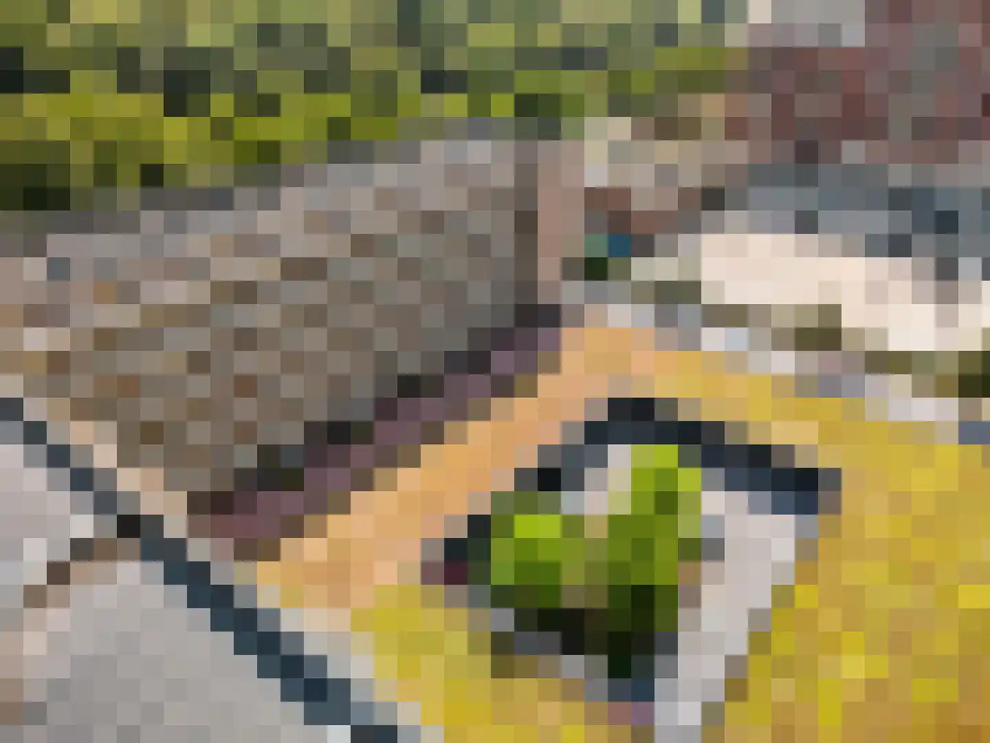 Sigmaplantsoen 653 Leiden thumbnail 31