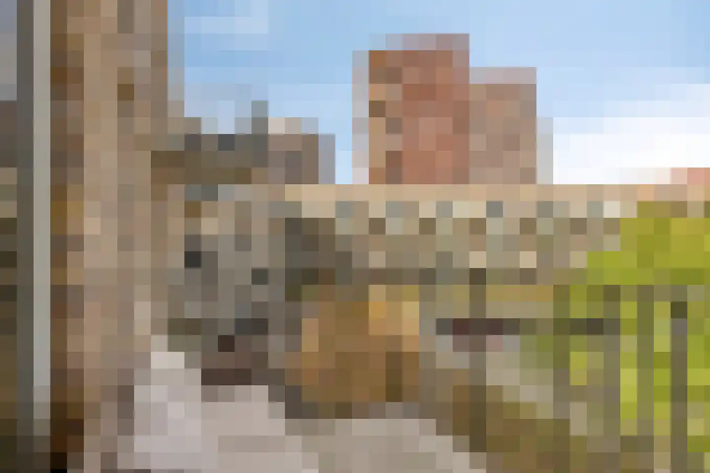 Sigmaplantsoen 78 Leiden thumbnail 7