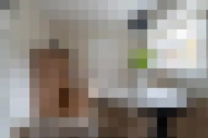 Sigmondstraat 34 Werkendam thumbnail 11