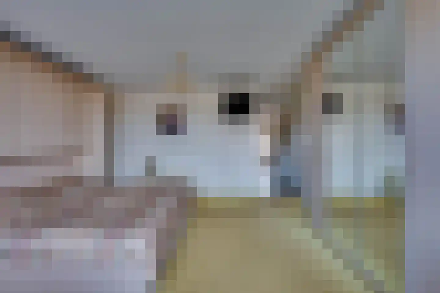 Sigmondstraat 7 b Werkendam thumbnail 18