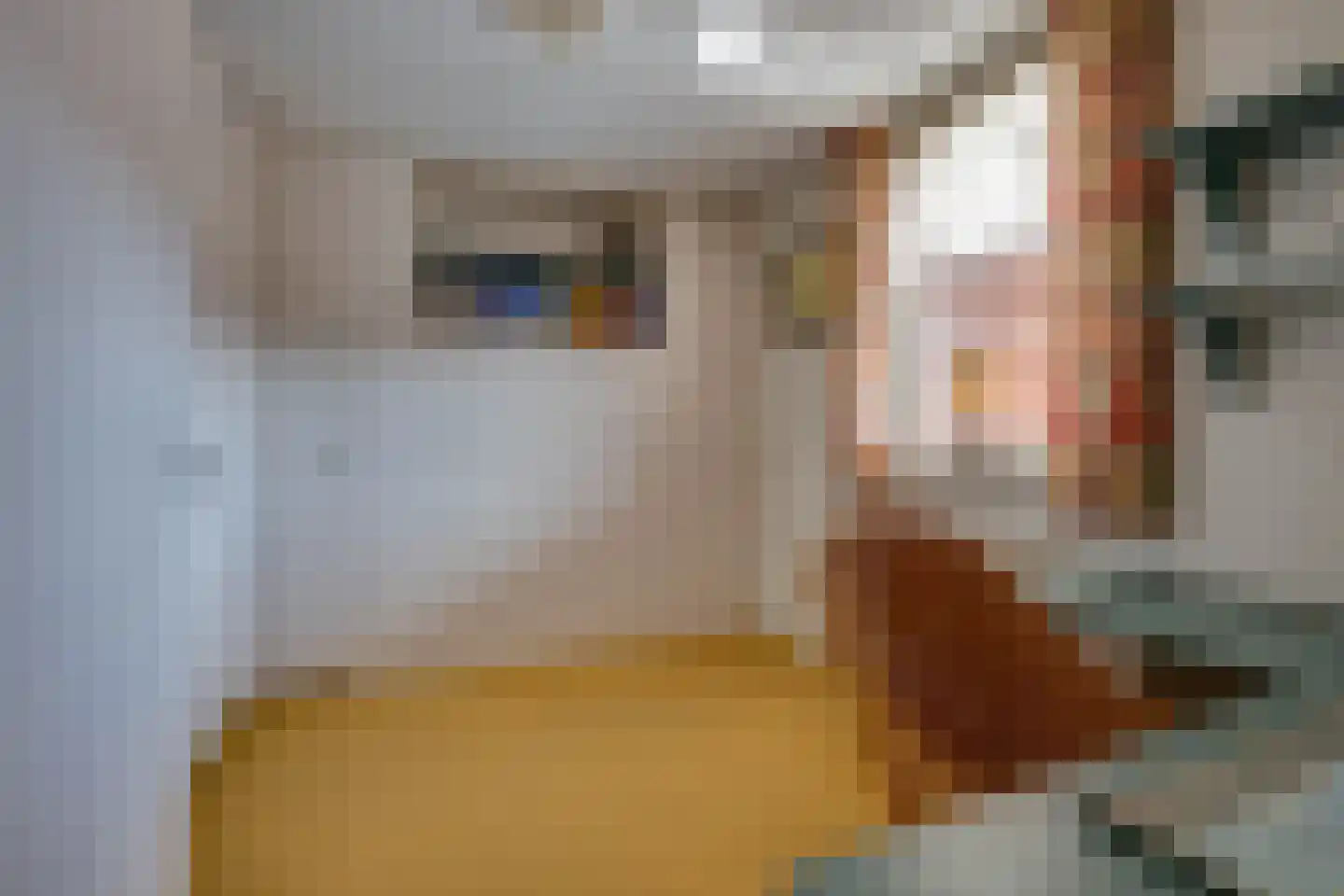 Sigmondstraat 7 b Werkendam thumbnail 19