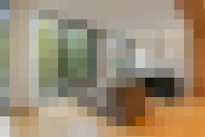 Sigmund Rombergstraat 17 Utrecht thumbnail 11