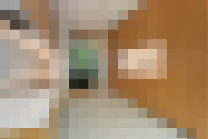 Sigmund Rombergstraat 17 Utrecht thumbnail 8