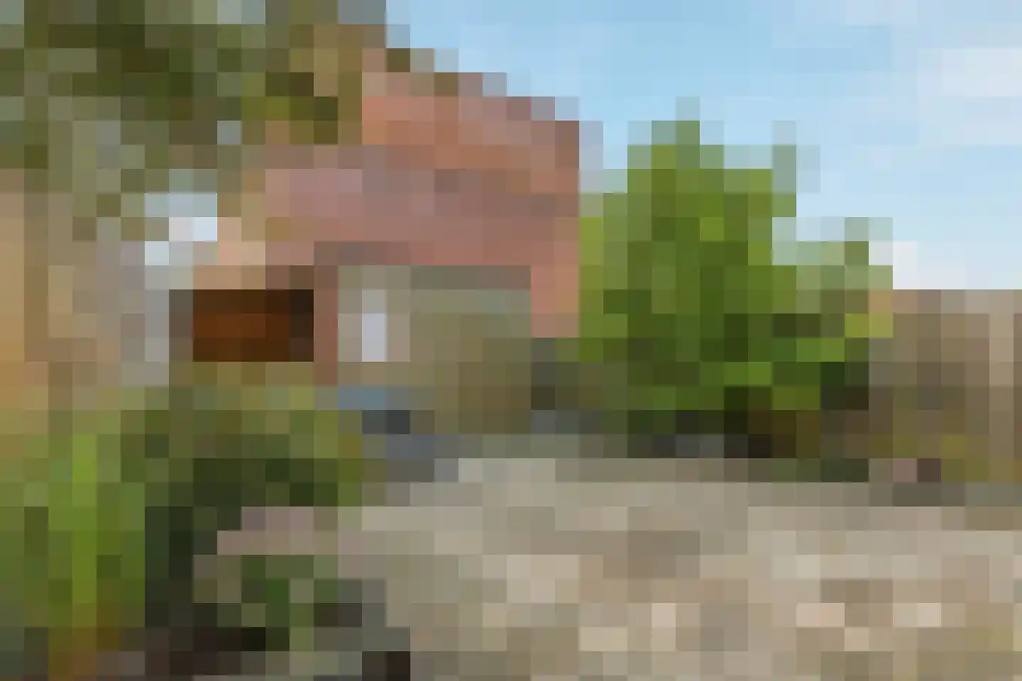 Sigmundplantsoen 76 Almere thumbnail 34