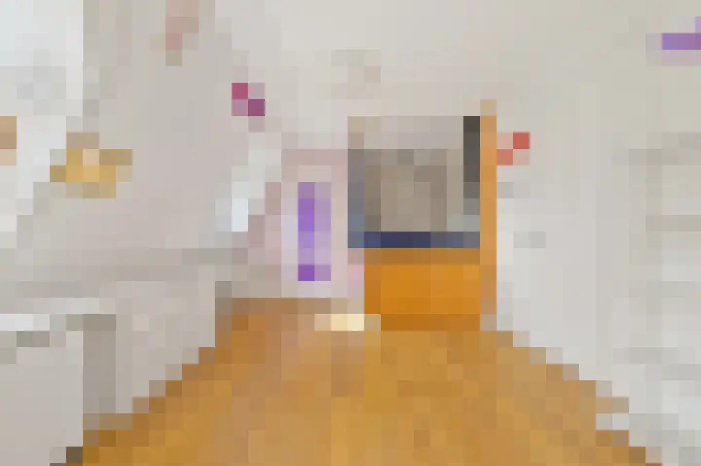 Sigrid Undsetlaan 14 Den Haag thumbnail 53