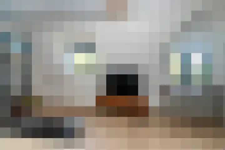 Sigrid Undsetlaan 34 Den Haag thumbnail 37