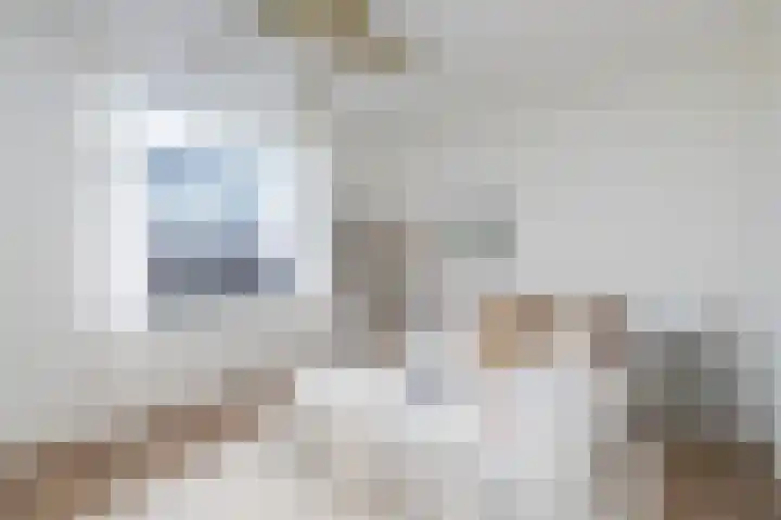 Sigrid Undsetlaan 34 Den Haag thumbnail 41