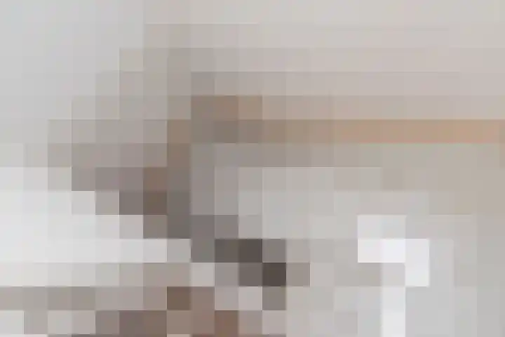 Sigrid Undsetlaan 34 Den Haag thumbnail 45