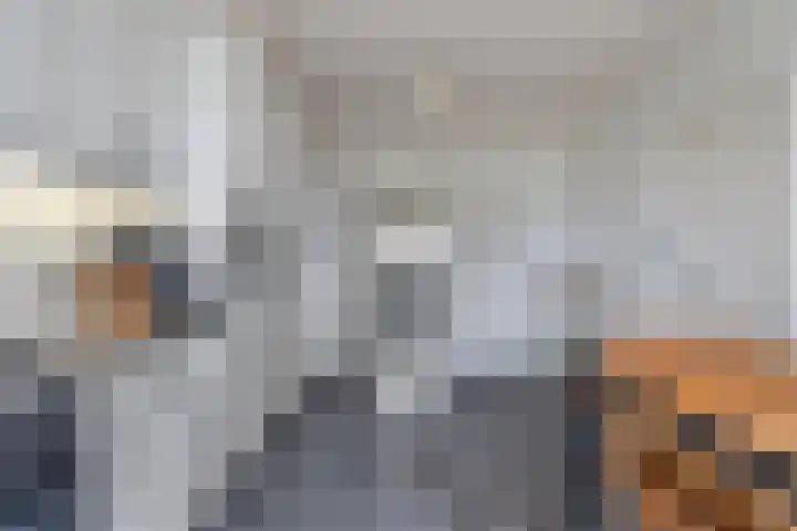 Siguitsedijk 6 Kwadendamme thumbnail 13