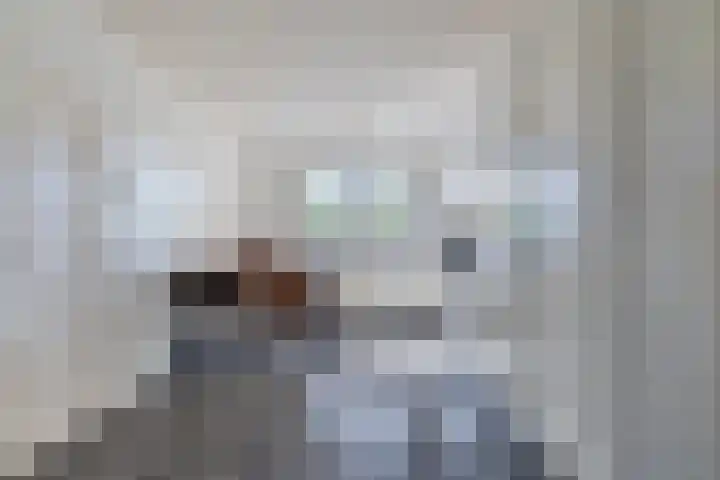 Siguitsedijk 6 Kwadendamme thumbnail 14