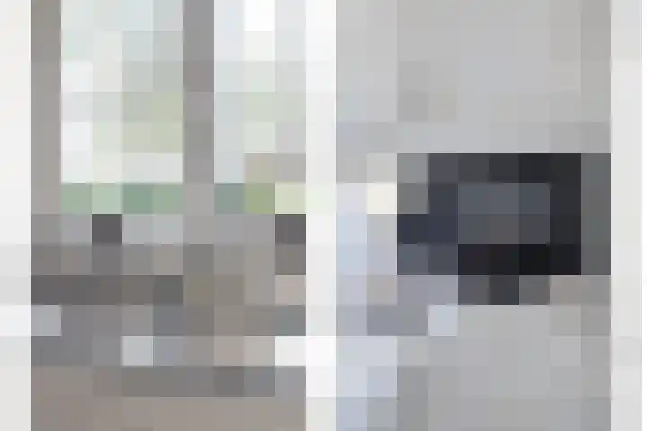 Siguitsedijk 6 Kwadendamme thumbnail 15