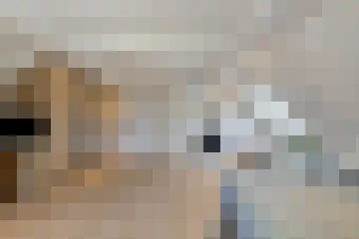Siguitsedijk 6 Kwadendamme thumbnail 22