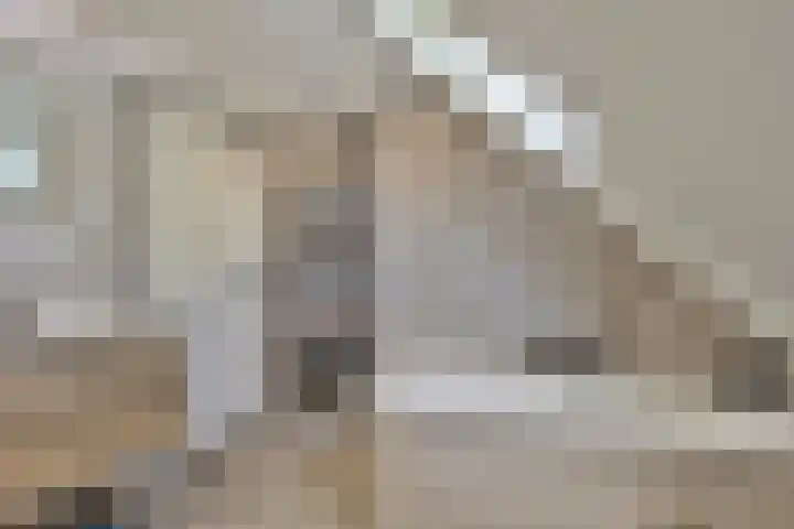 Siguitsedijk 6 Kwadendamme thumbnail 33