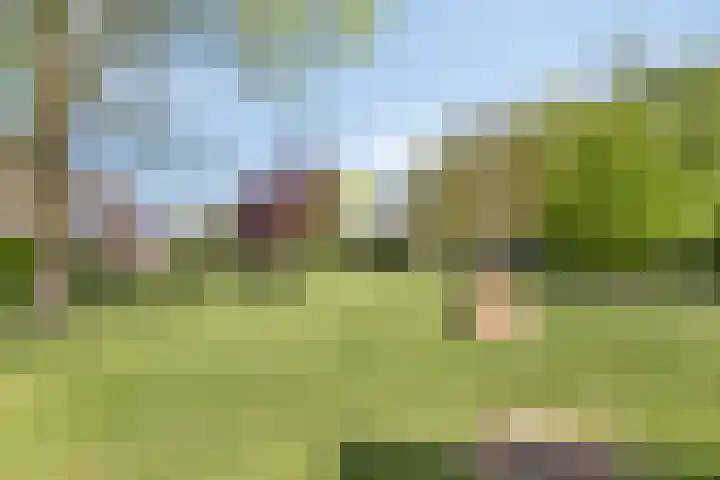 Siguitsedijk 6 Kwadendamme thumbnail 37