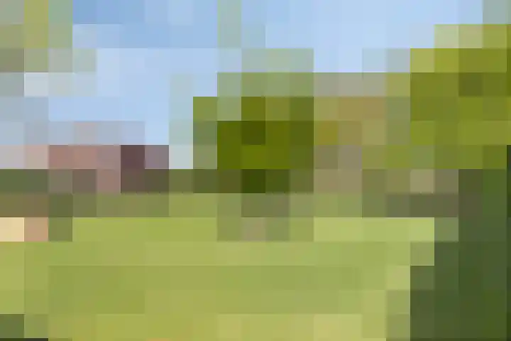 Siguitsedijk 6 Kwadendamme thumbnail 38