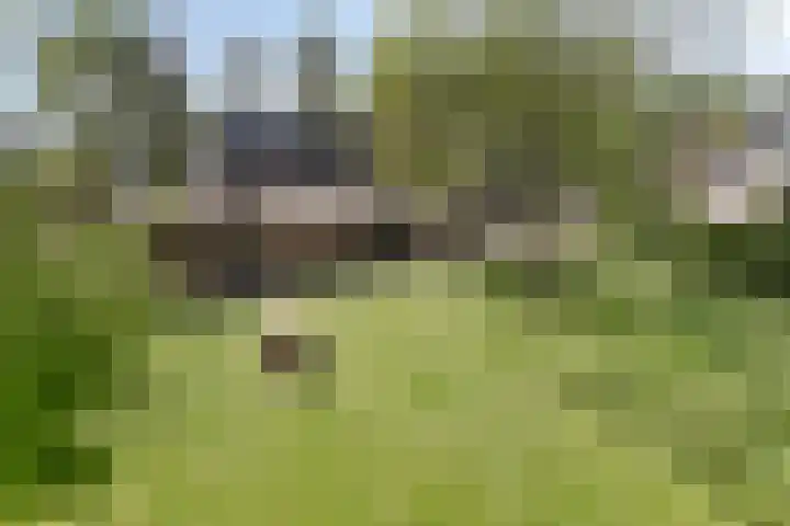 Siguitsedijk 6 Kwadendamme thumbnail 40