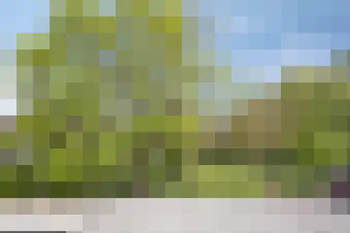 Siguitsedijk 6 Kwadendamme thumbnail 41