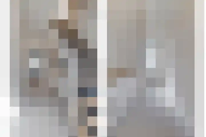 Siguitsedijk 6 Kwadendamme thumbnail 6