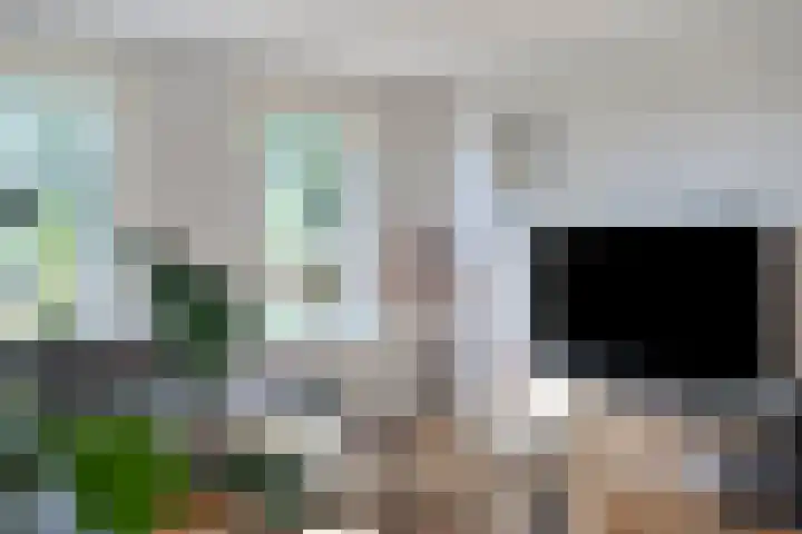 Siguitsedijk 6 Kwadendamme thumbnail 9