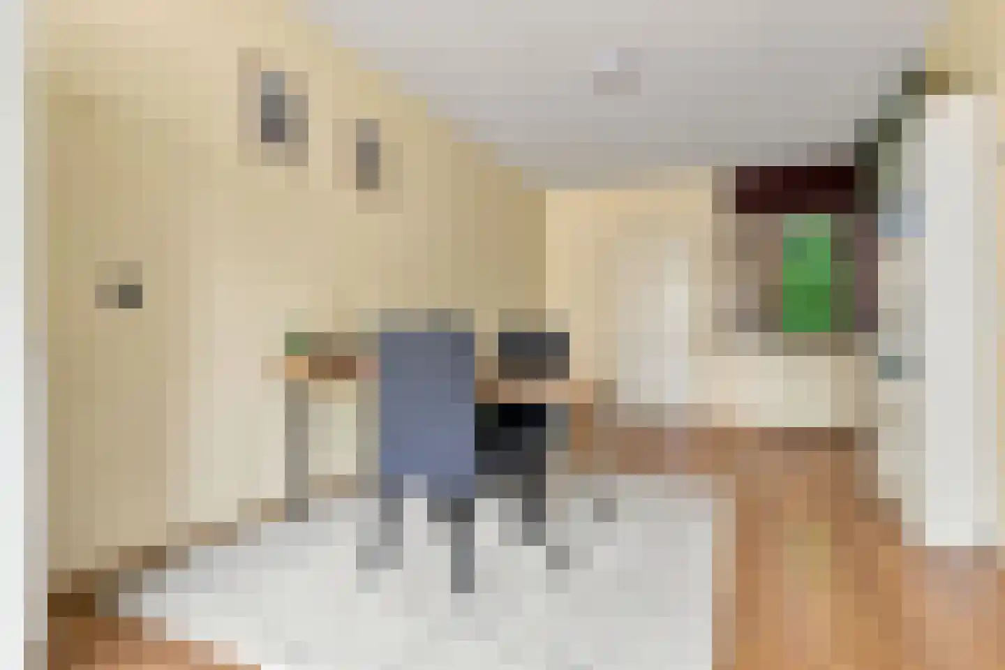 Sijbrandakker 32 Koog aan de Zaan thumbnail 11