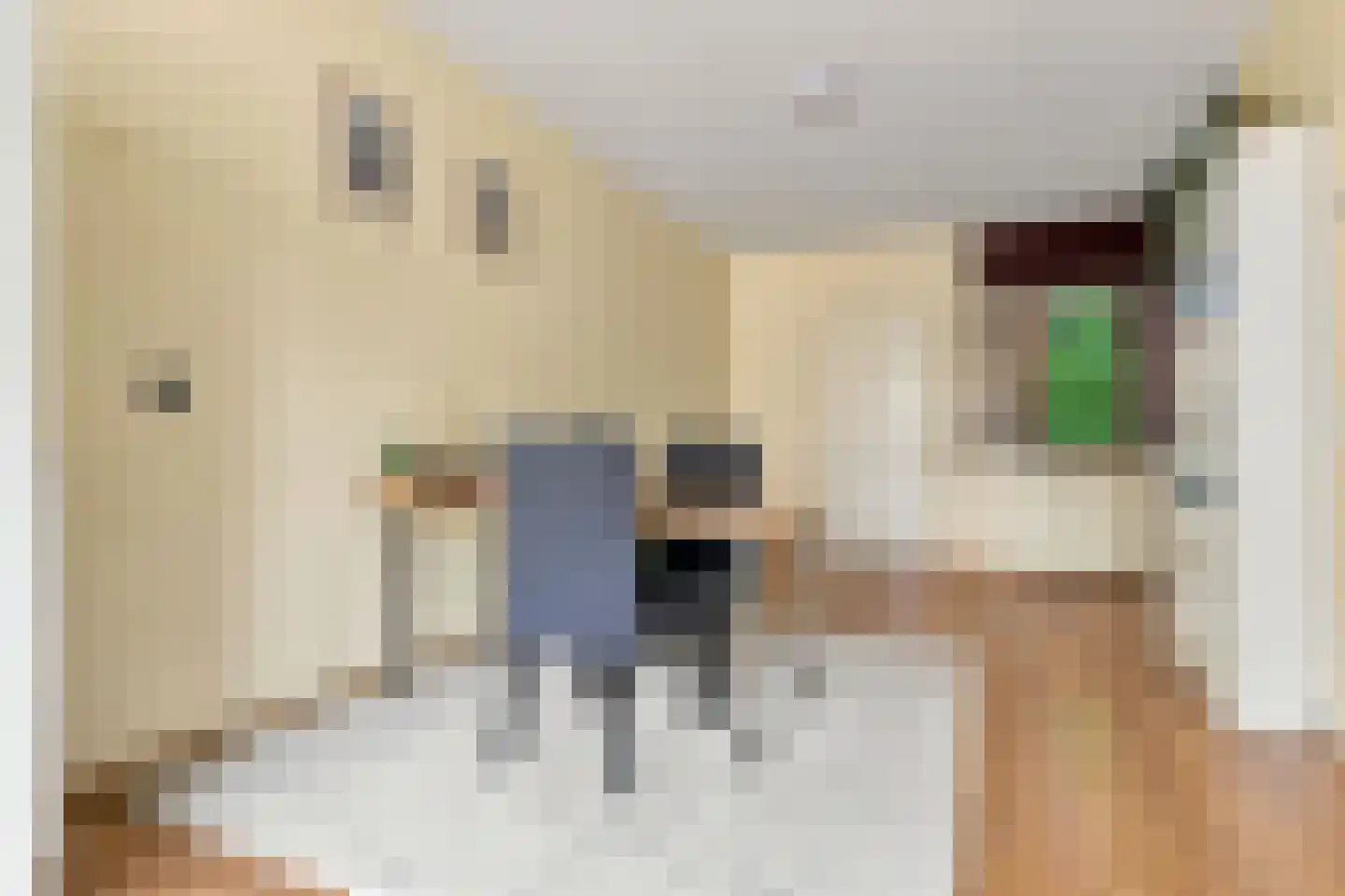 Sijbrandakker 32 Koog aan de Zaan thumbnail 12