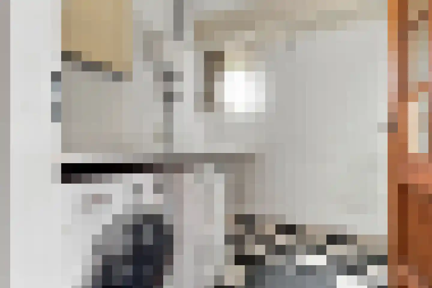 Sijbrandakker 32 Koog aan de Zaan thumbnail 15