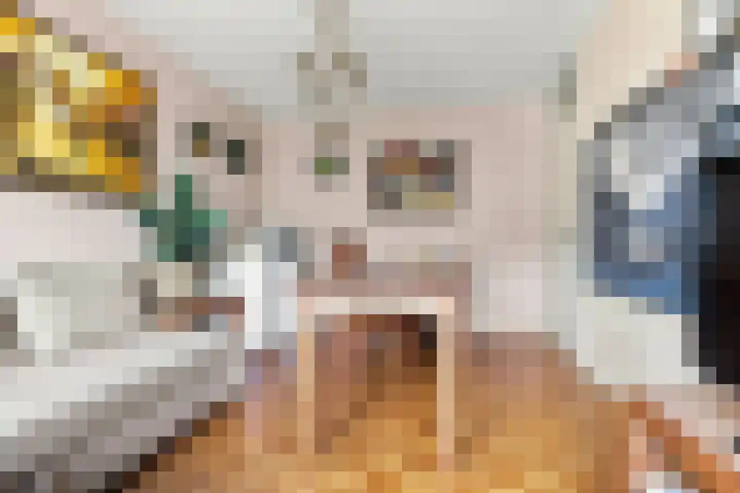 Sijbrandakker 32 Koog aan de Zaan thumbnail 18