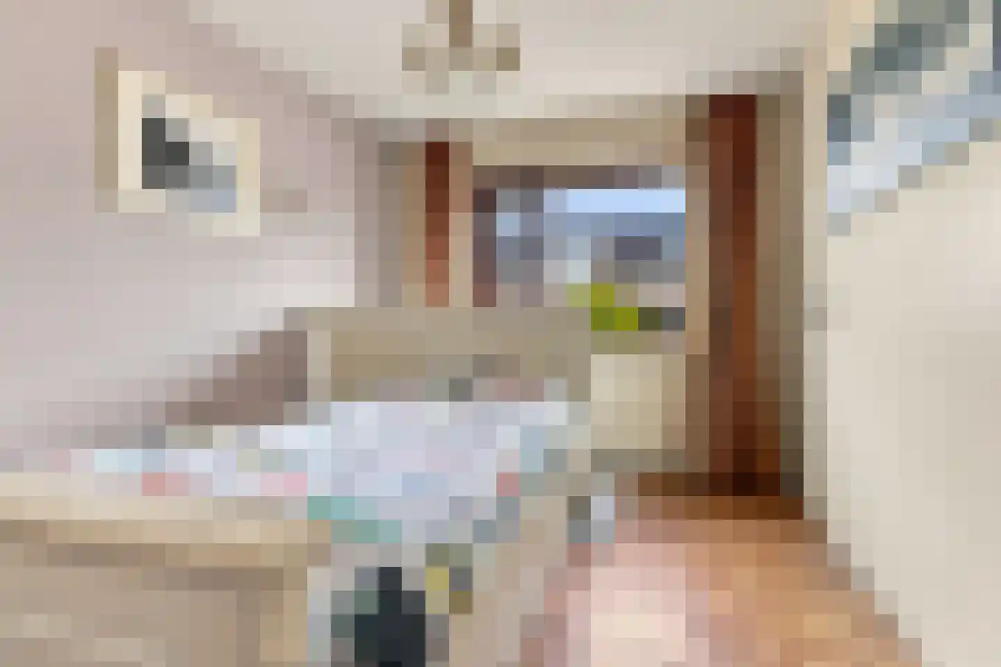Sijbrandakker 32 Koog aan de Zaan thumbnail 22