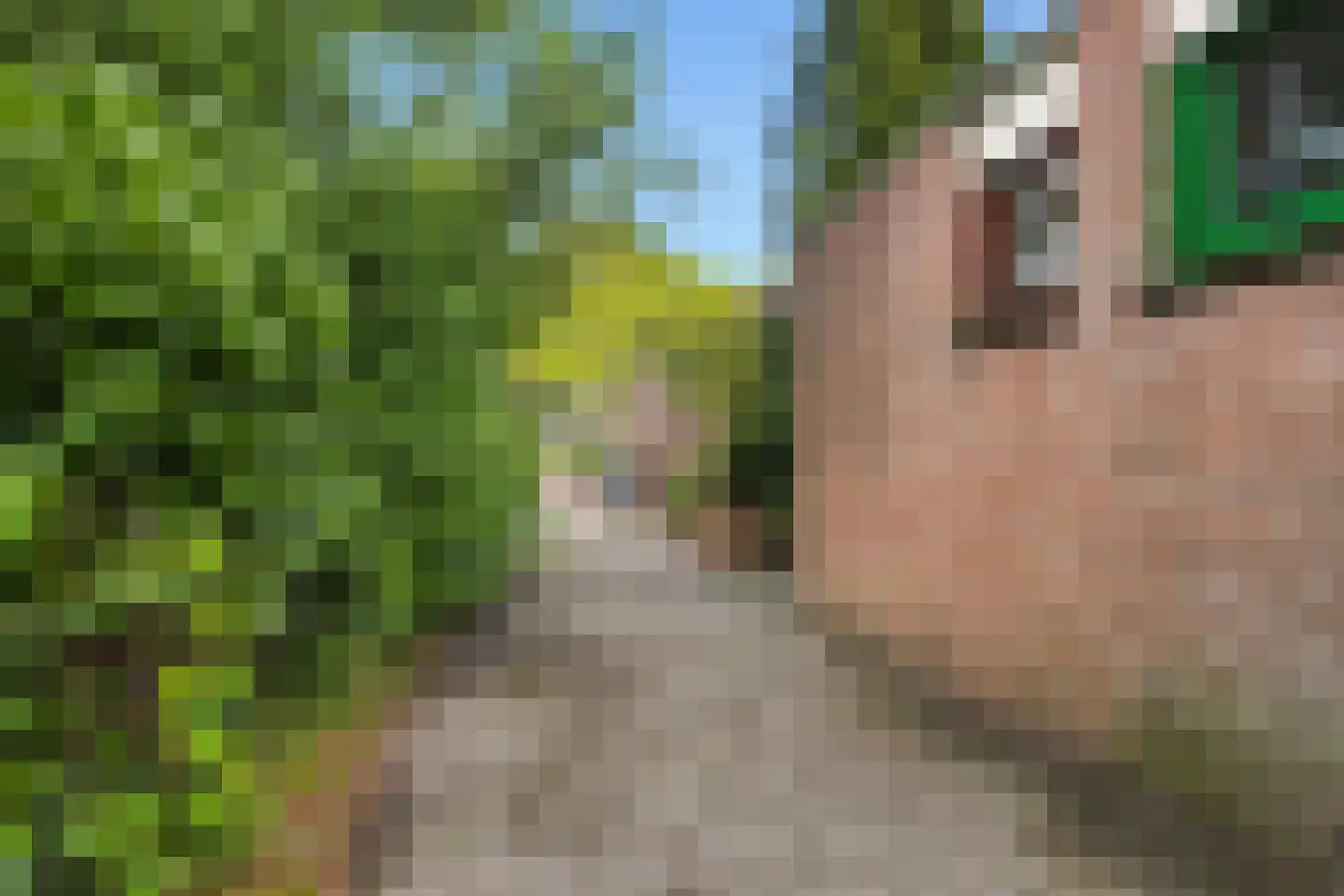 Sijbrandakker 32 Koog aan de Zaan thumbnail 33