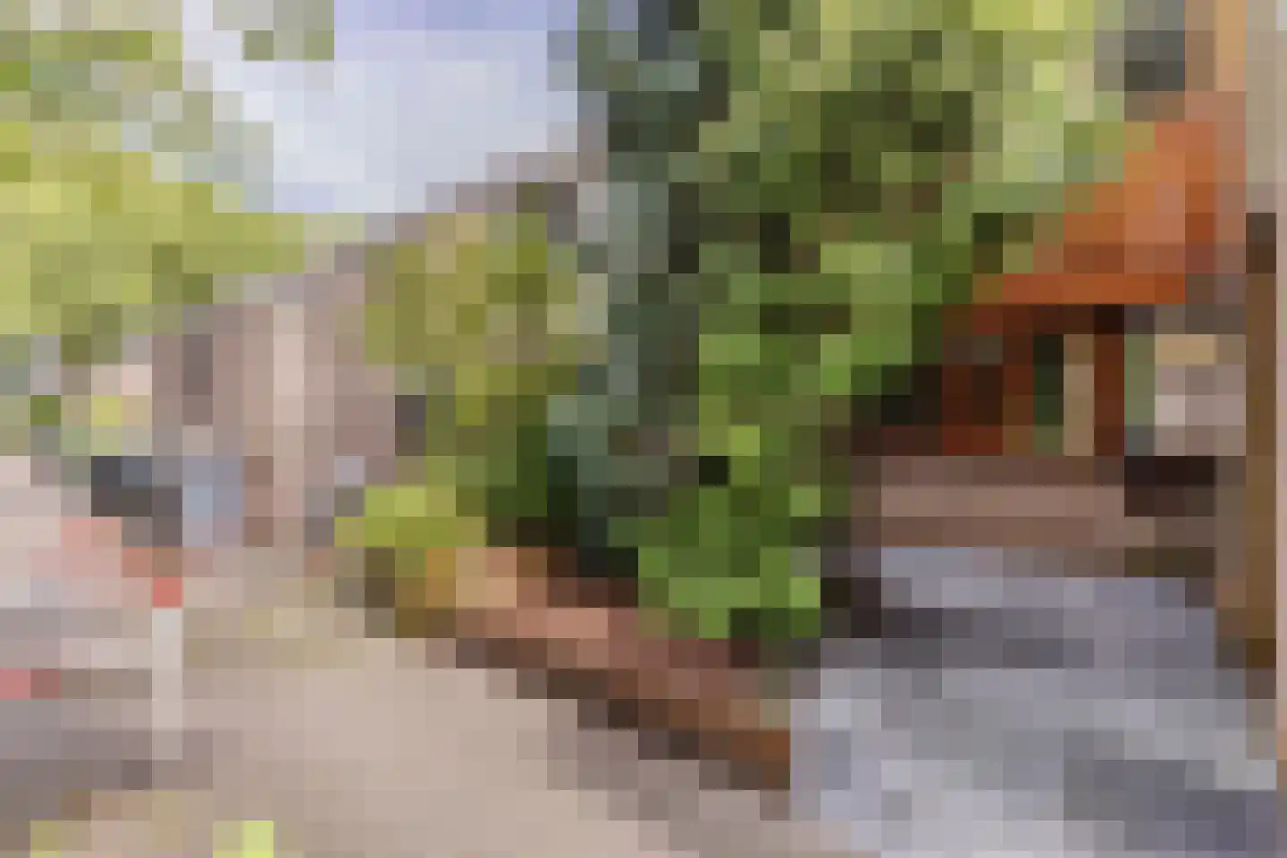 Sijbrandakker 32 Koog aan de Zaan thumbnail 34