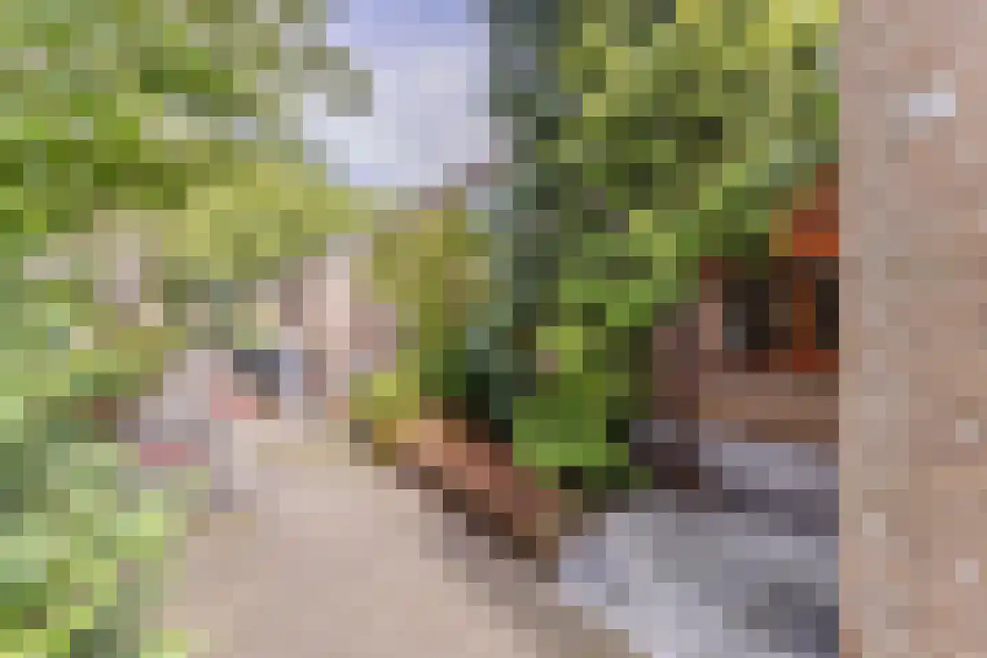 Sijbrandakker 32 Koog aan de Zaan thumbnail 35