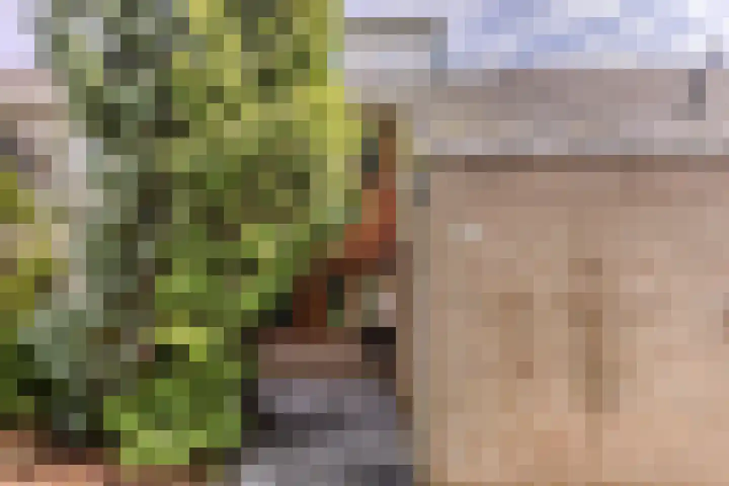 Sijbrandakker 32 Koog aan de Zaan thumbnail 36