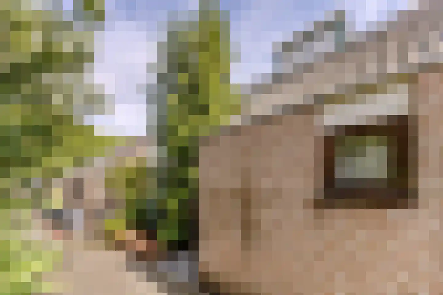 Sijbrandakker 32 Koog aan de Zaan thumbnail 37