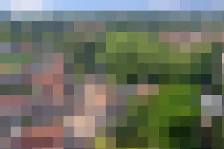 Sijbrandsplein 2 Enkhuizen thumbnail 40