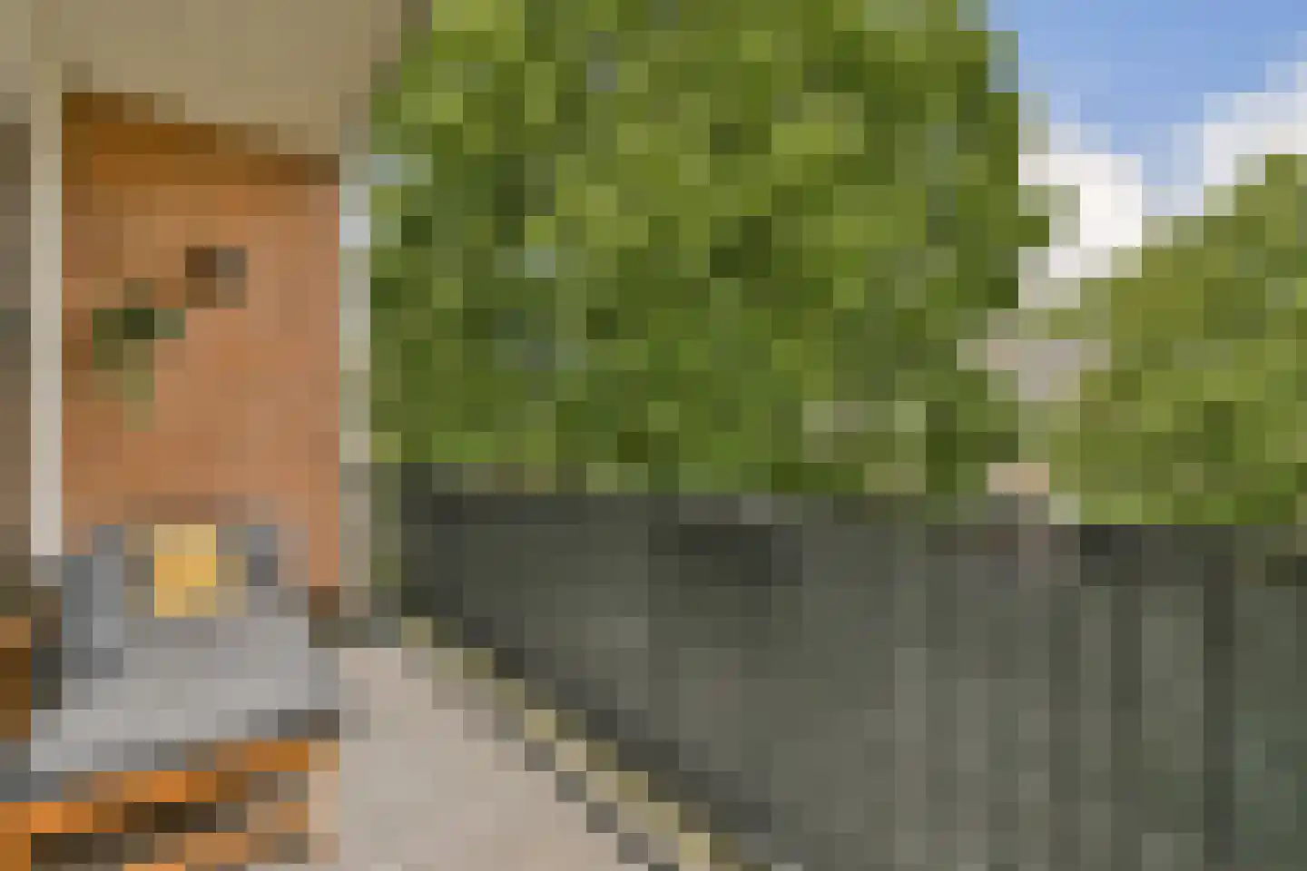 Sijlhoff 49 3 Amsterdam thumbnail 11