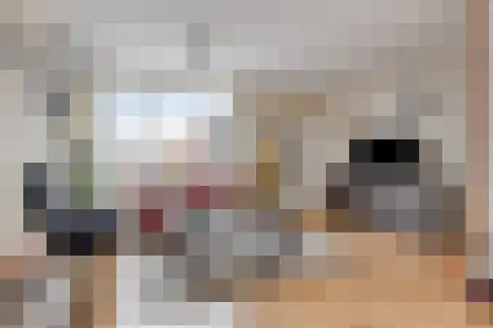 Sijmen Grootstraat 8 Edam thumbnail 11