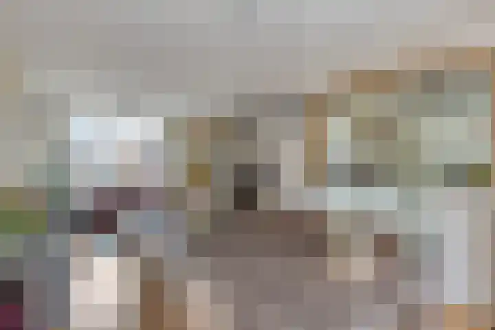 Sijmen Grootstraat 8 Edam thumbnail 13