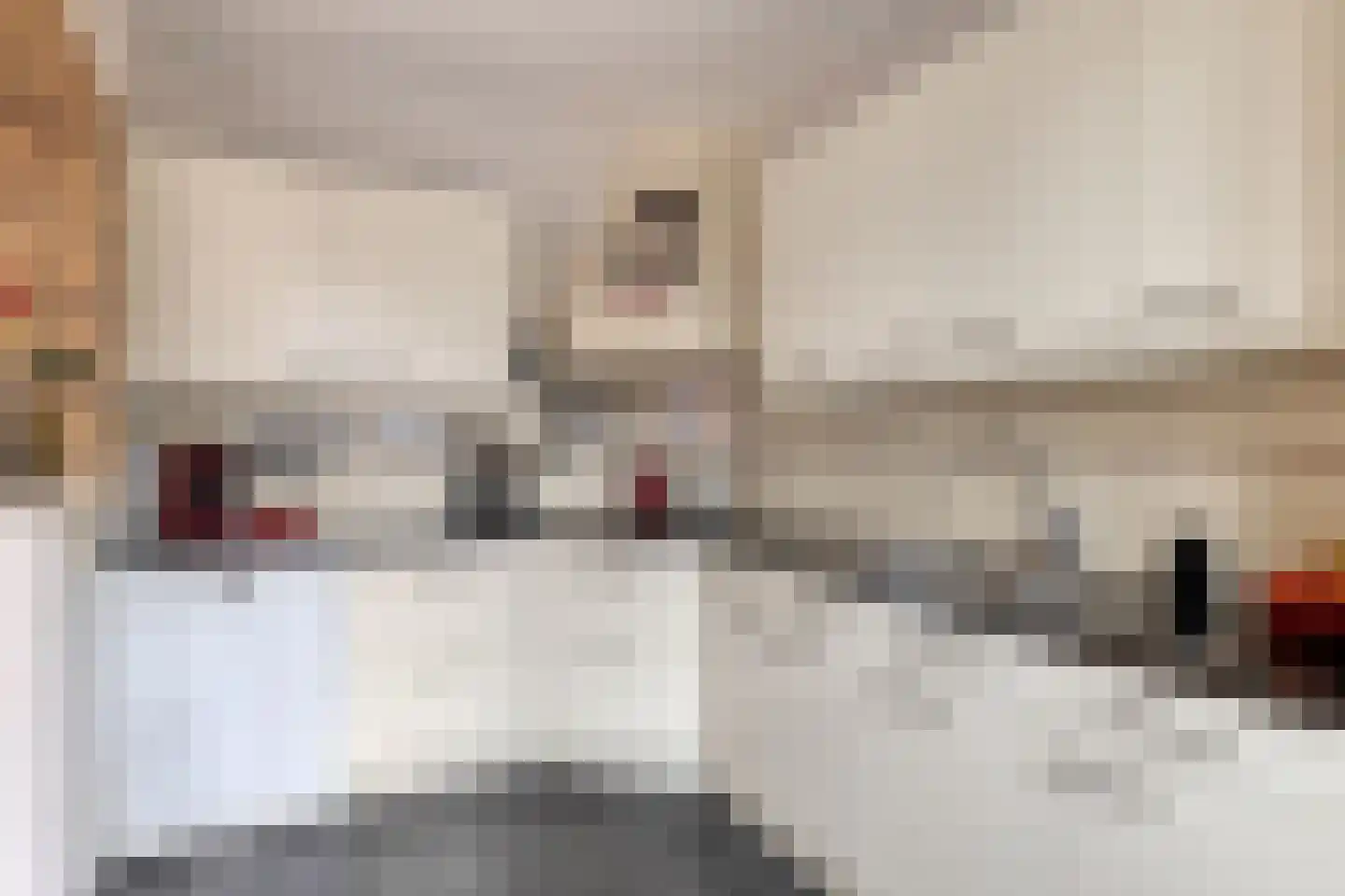 Sijmen Grootstraat 8 Edam thumbnail 15