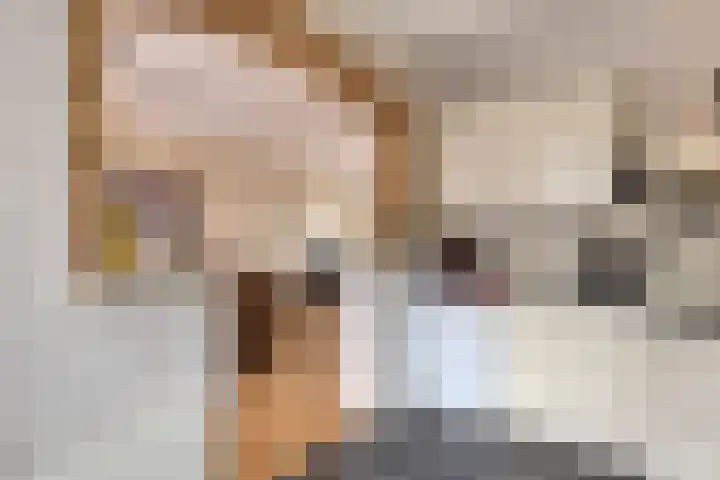 Sijmen Grootstraat 8 Edam thumbnail 16