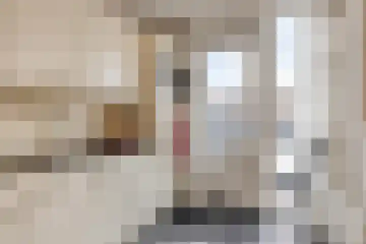 Sijmen Grootstraat 8 Edam thumbnail 17