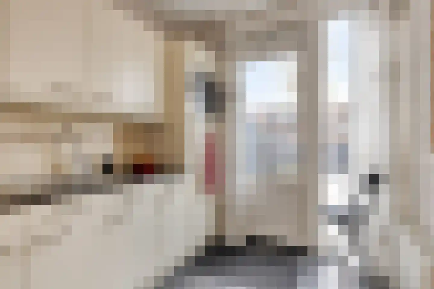 Sijmen Grootstraat 8 Edam thumbnail 17