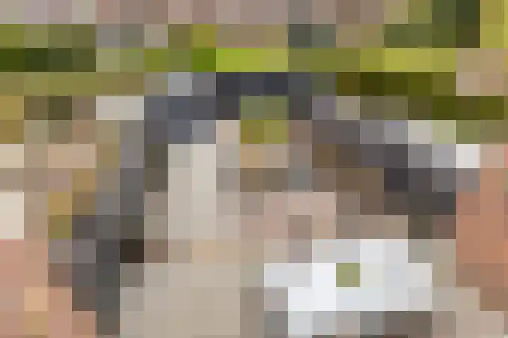 Sijmen Grootstraat 8 Edam thumbnail 20