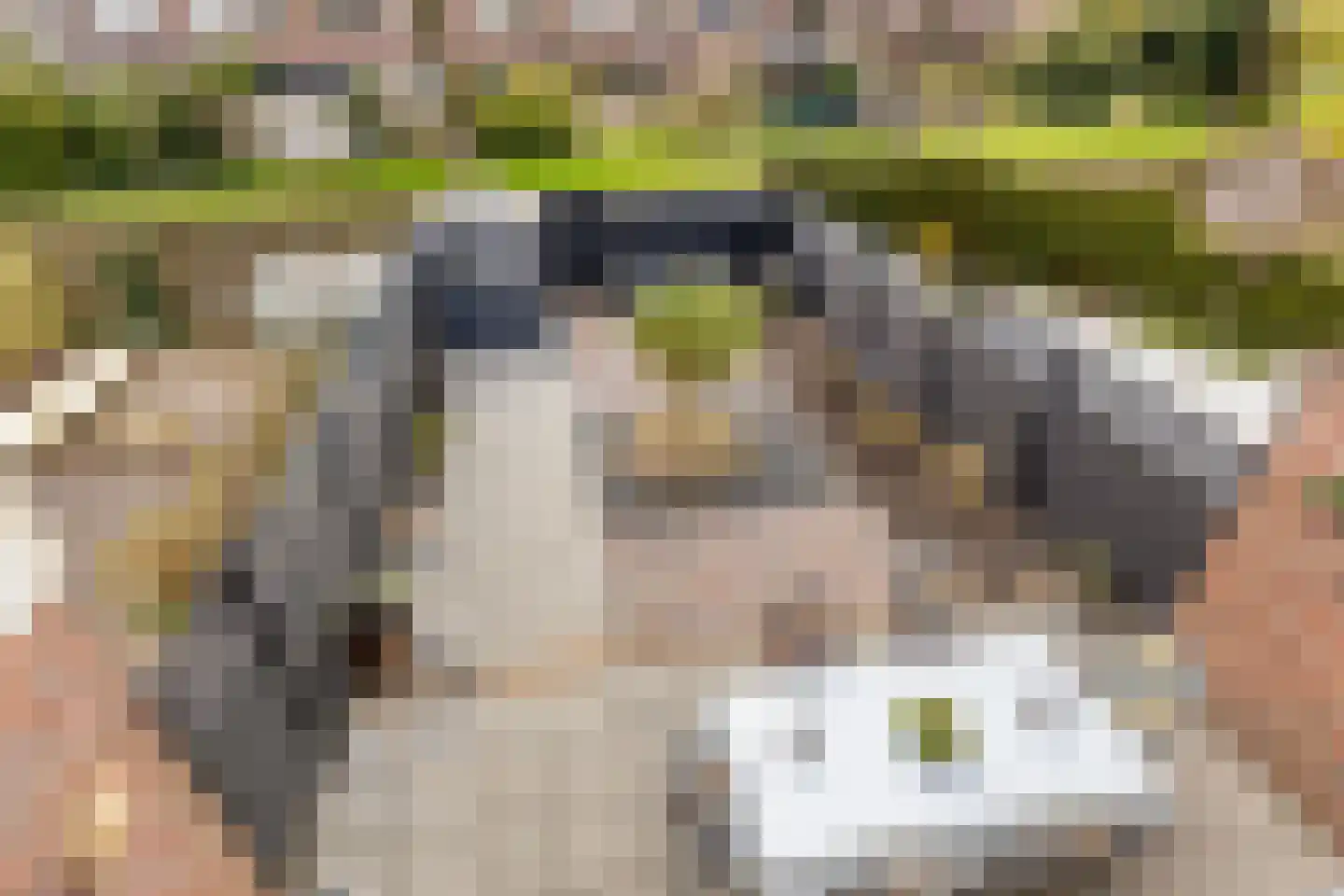 Sijmen Grootstraat 8 Edam thumbnail 20