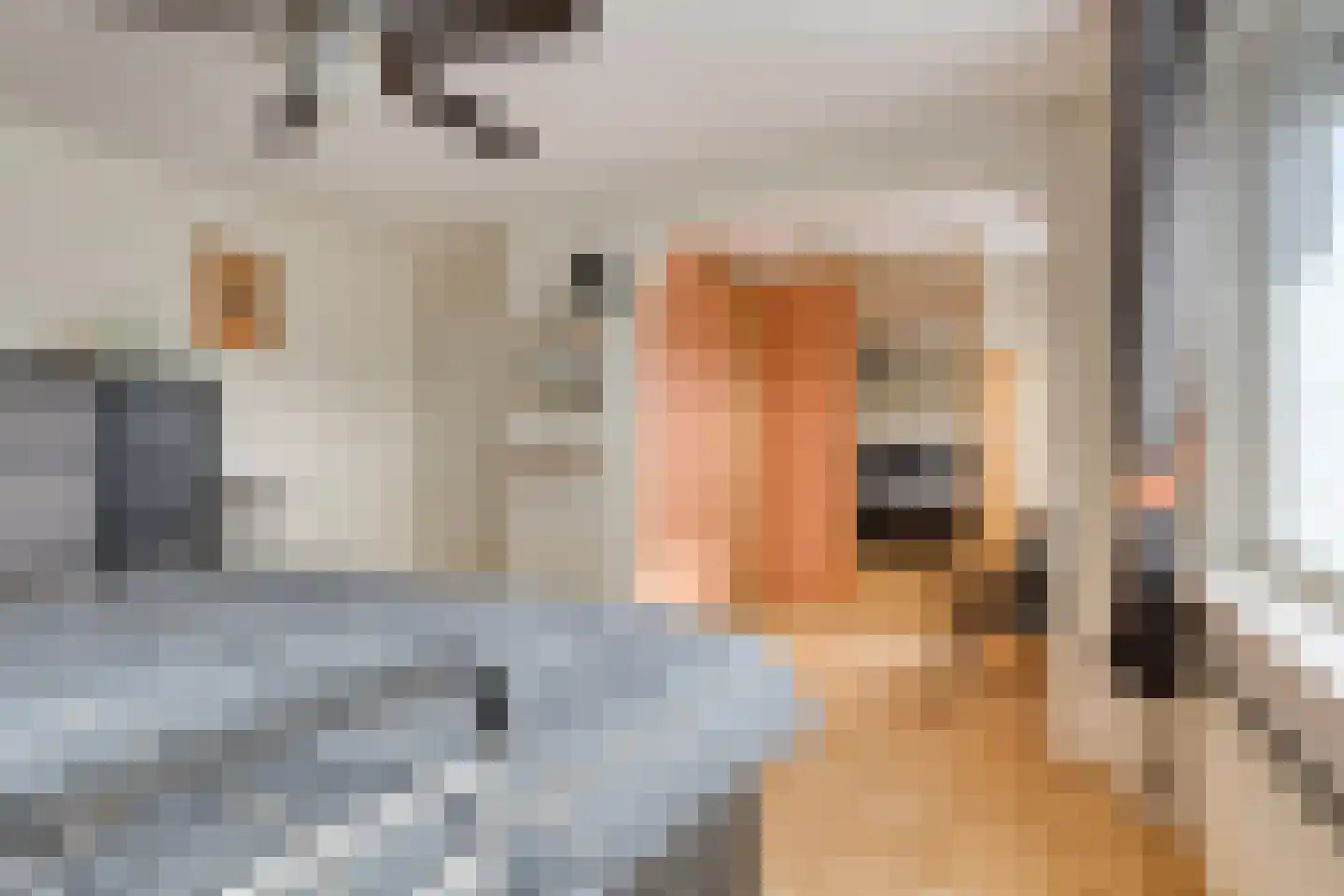 Sijmen Grootstraat 8 Edam thumbnail 27