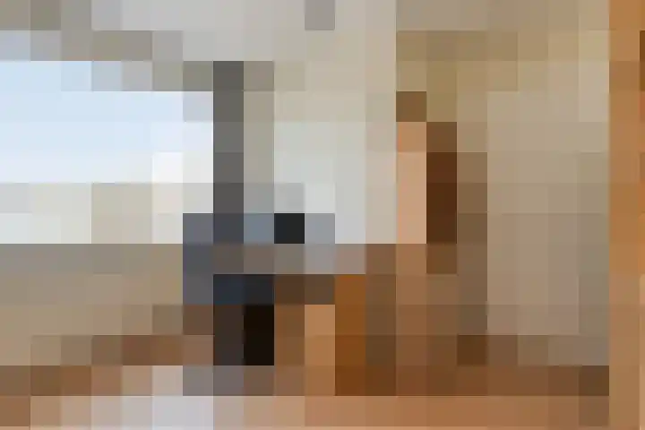 Sijmen Grootstraat 8 Edam thumbnail 30